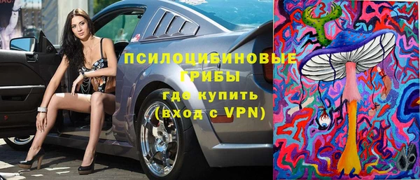 сатива Алзамай