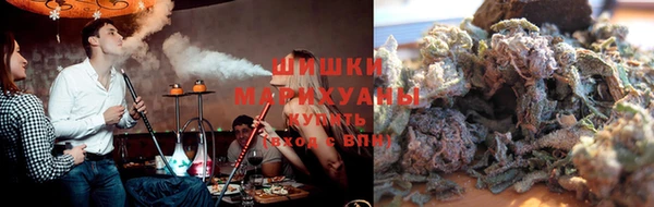 сатива Алзамай