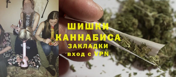 сатива Алзамай