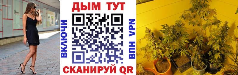 магазин наркотиков Дегтярск Бошки Шишки конопля